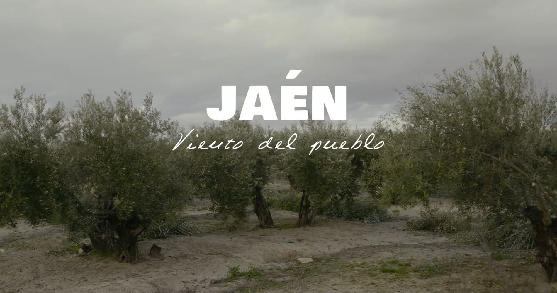 Jaén, Viento del Pueblo